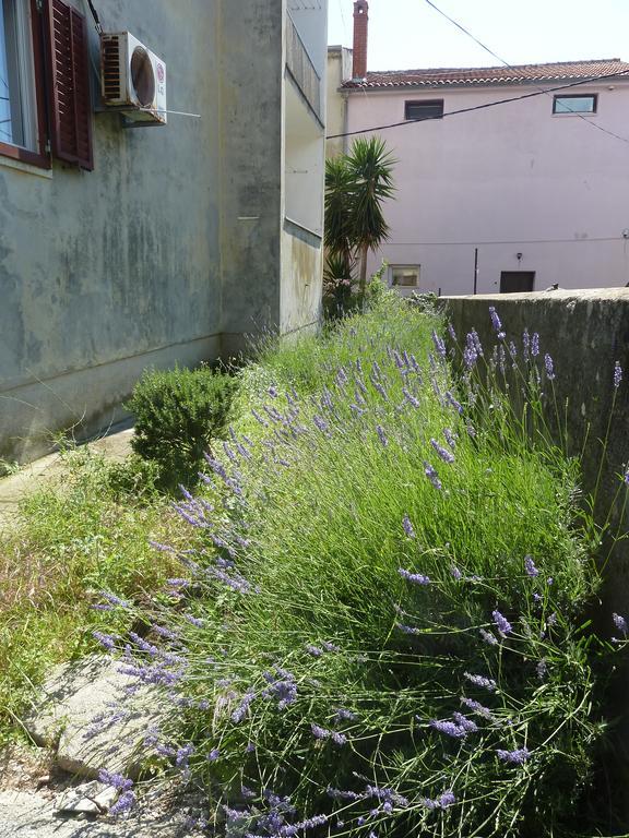 Apartman Marina